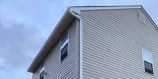 Best Fascia and Soffit Installation  in Cambridge, IL